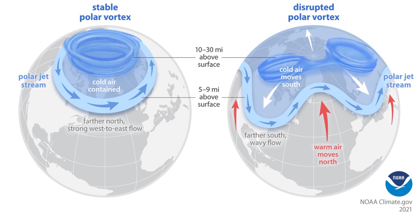 What Happens In The Arctic, Doesn't Stay In The Arctic: Understanding ...